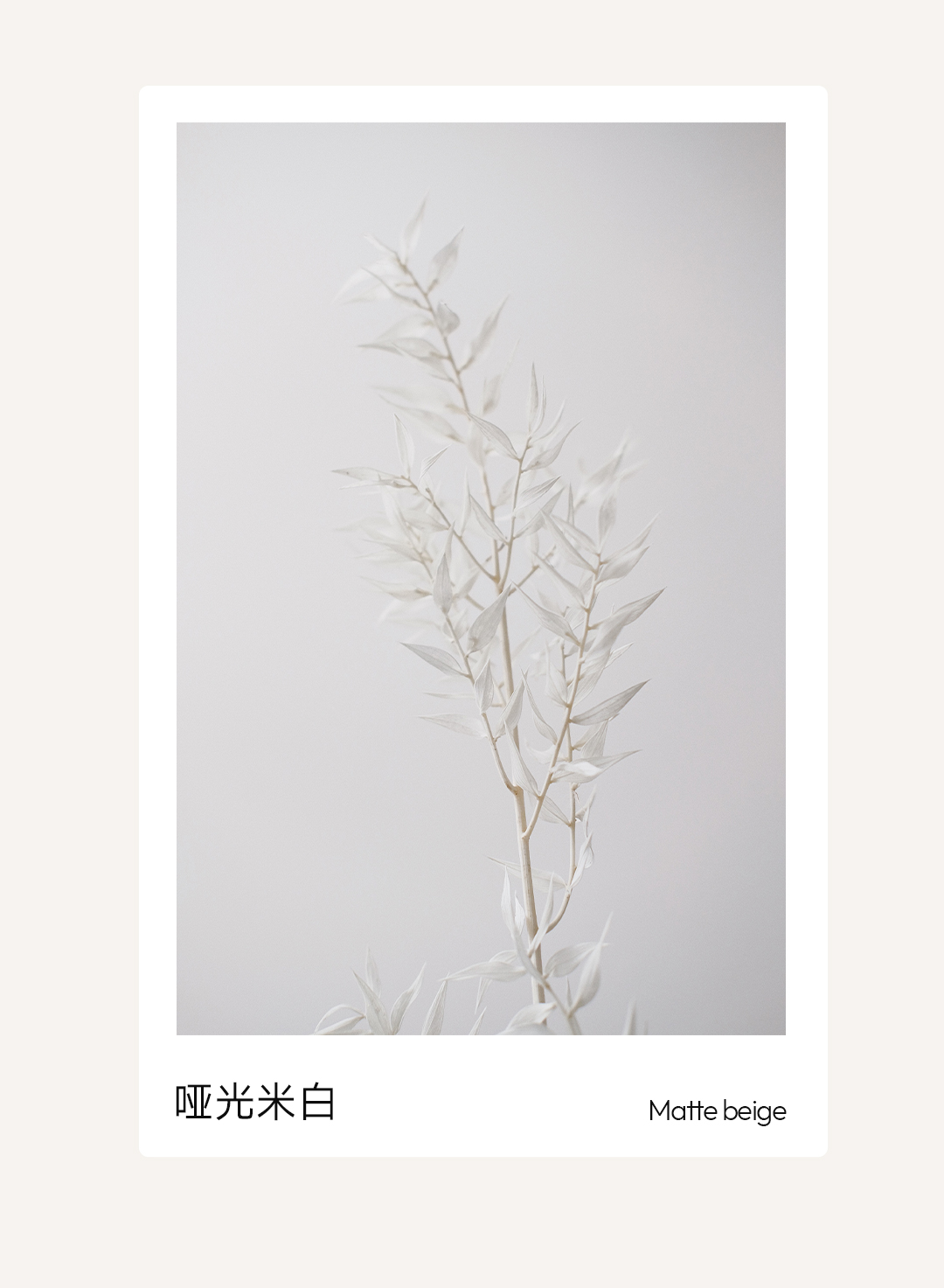 潮領新勢 | 富奧斯門窗全新色系啞光米白，以細節質感重新定義門窗美學！(圖3)